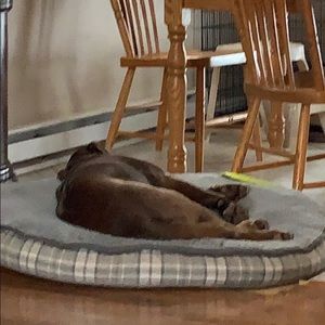 Meet your Posher, Corey